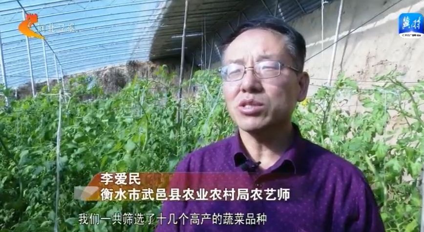 河北：多管齐下 保障春节“菜篮子”物丰价稳(图1)