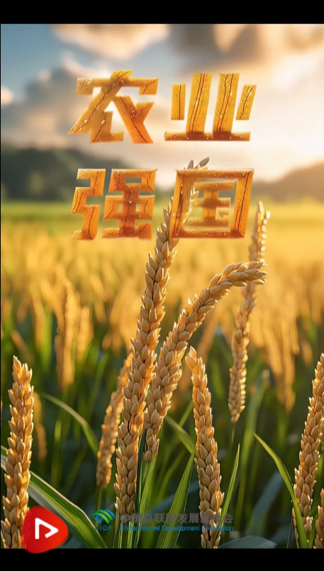 QQ浏览器截图20250216162354.png